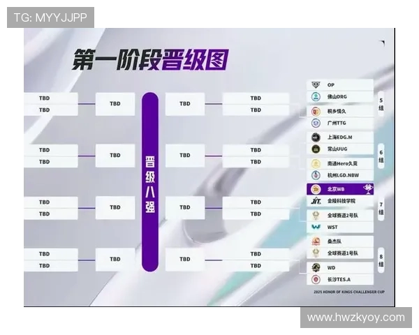 挑战者杯特别报道：JDG战队的拼搏历程与荣耀时刻回顾